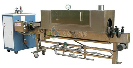 �����տs�C